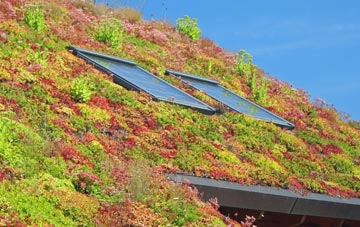 Monkseaton living roof systems