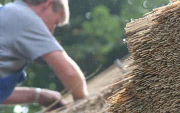 professional Monkseaton thatchers