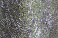 Monkseaton fibreglass roof work